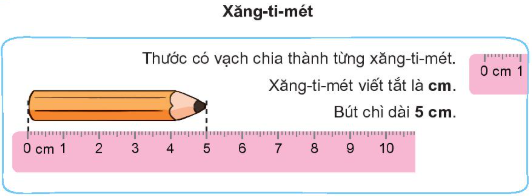 Đơn vị đo cm
